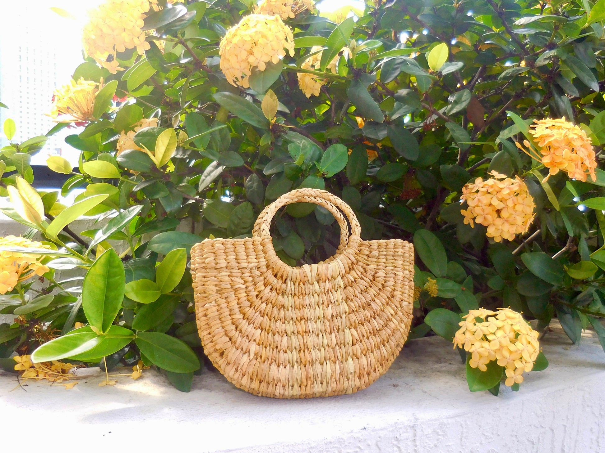 Halo Purse - Small