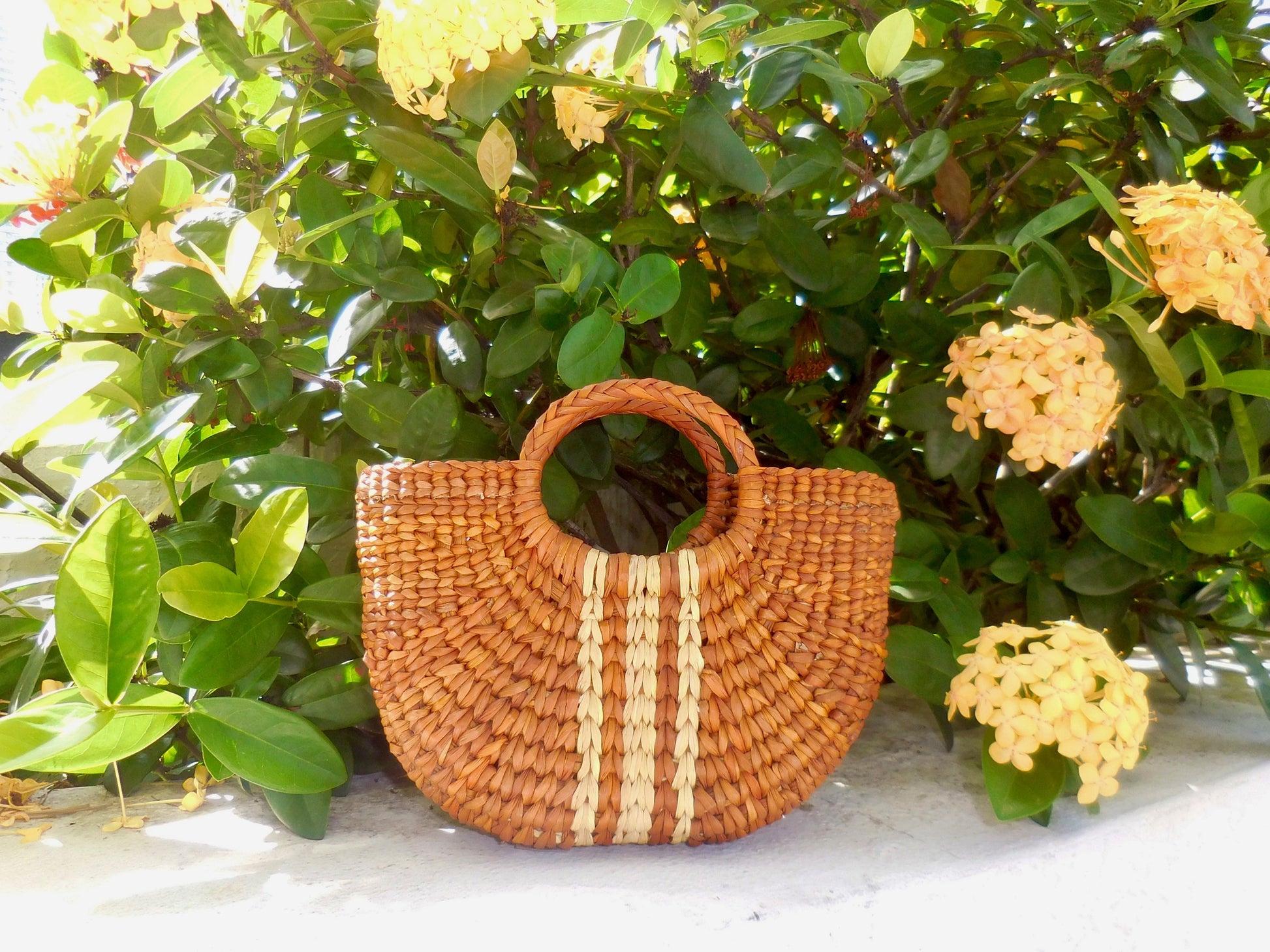 Halo Purse - Small