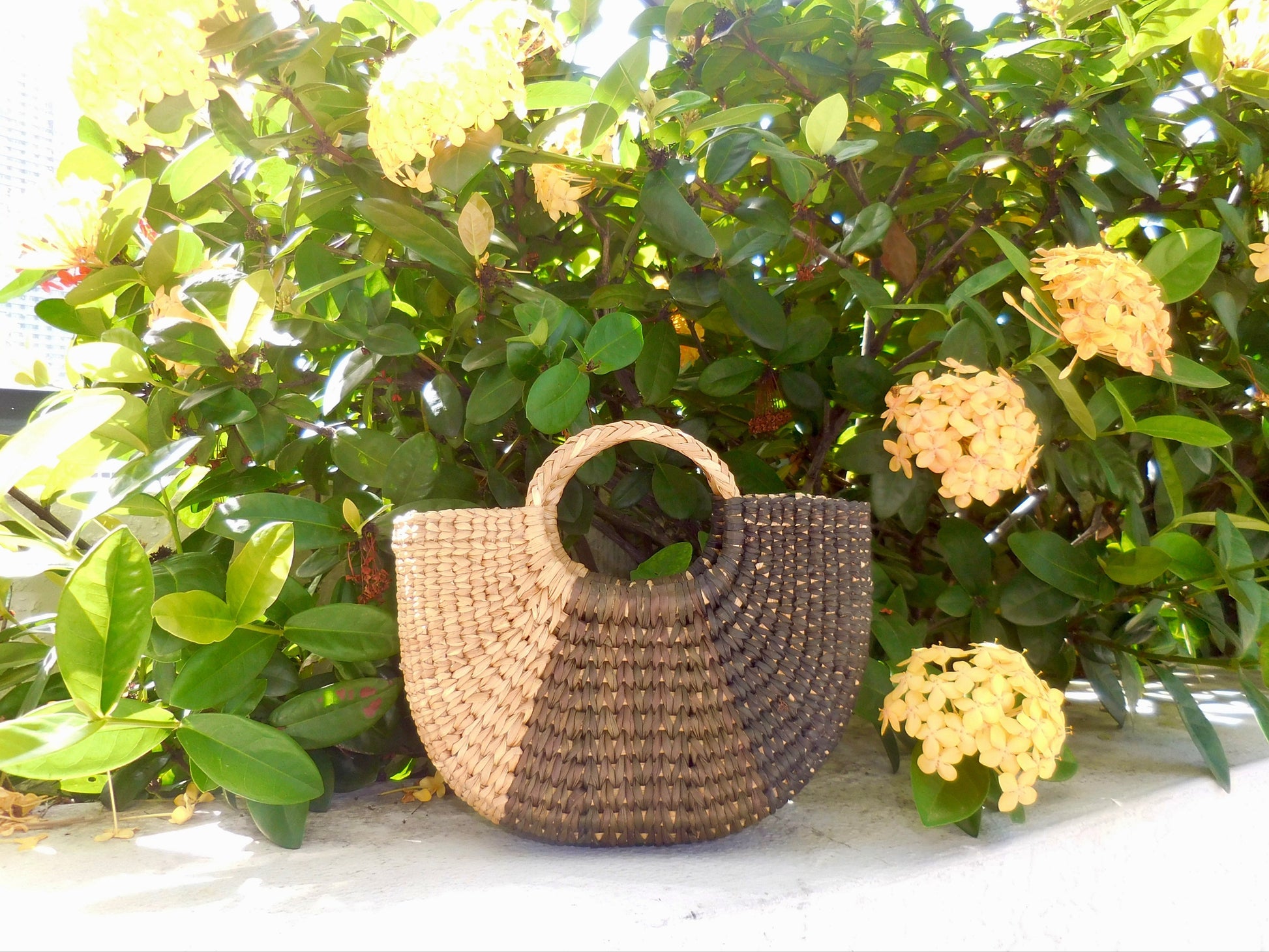 Halo Purse - Small