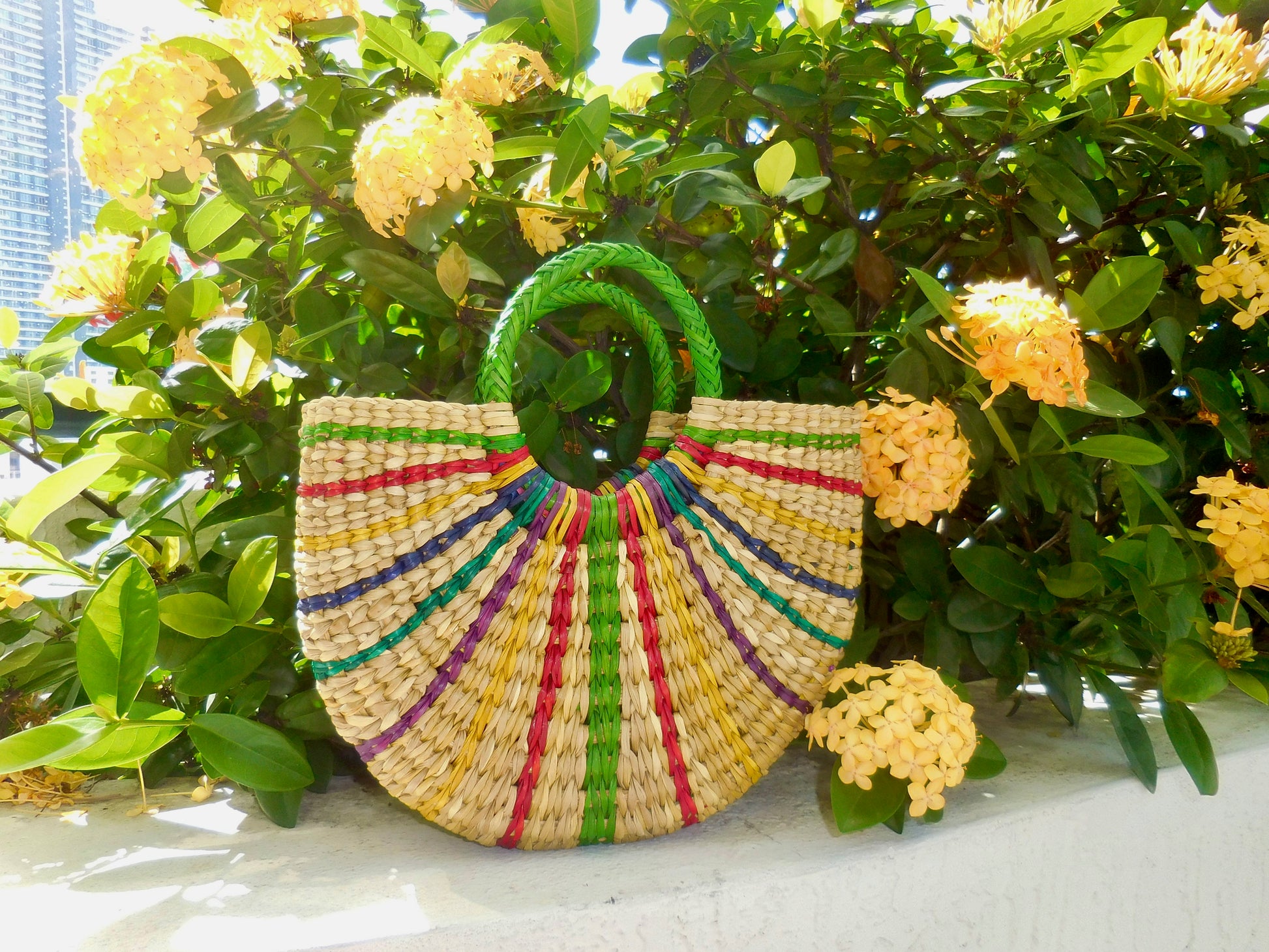 Halo Purse - Large