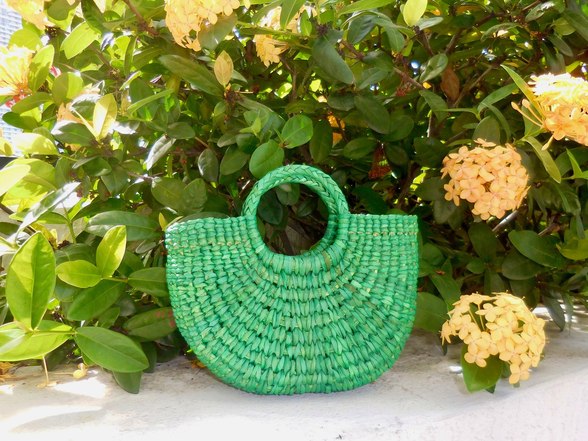Halo Purse - Small