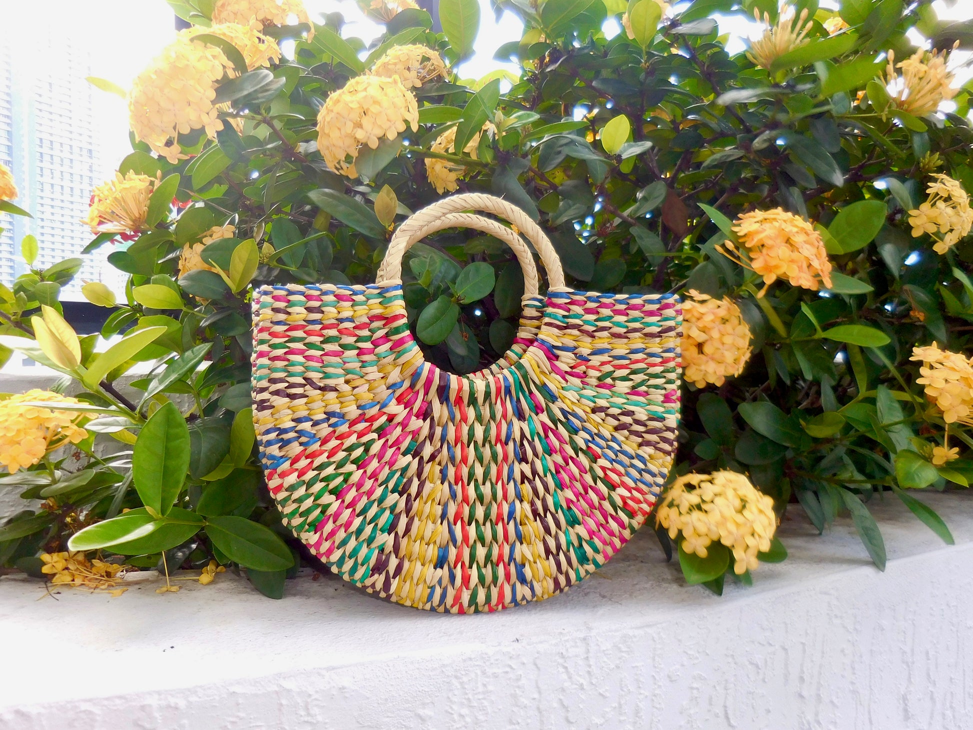 Halo Purse - Large